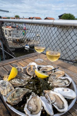 Fransa 'nın Gujan-Mestras limanı, Arcachon körfezindeki eski istiridye çiftliklerinin manzaralı, istiridye çiftliği olan istiridye çiftliği köyündeki çiftlik kafesinde taze çiğ istiridye yemek.