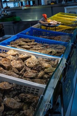 Fresh live different sizes oysters in market hall ready to be eaten for lunch, close up, from oyster-farming village, Arcachon bay, Gujan-Mestras, Bordeaux, France clipart