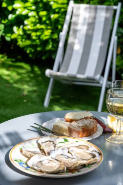 Fransa 'nın Gujan-Mestras limanındaki Arcachon körfezi istiridye çiftliği köyündeki restoranda taze çiğ istiridye kabukları, ekmek, tereyağı ve beyaz şarapla servis edilen tabaklar.