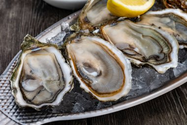 Fransa 'nın Gujan-Mestras limanındaki Arcachon körfezi istiridye çiftliği köyündeki restoranda taze çiğ istiridye, deniz kabuğu, liman, ekmek, tereyağı ve beyaz şarapla servis edilen tabaklar.