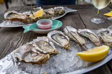 Güneşli bir günde, Arcachon Bassin, Gujan-Mestras limanı, Bordeaux, Fransa 'da, istiridye sayısı 0 olan istiridye çiftçilik köyündeki açık hava kafesinde taze canlı istiridye ve ekmek yemek..