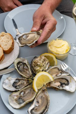 Fransa 'nın Gujan-Mestras limanındaki Arcachon körfezi istiridye çiftliği köyündeki restoranda taze çiğ istiridye, deniz kabuğu, liman, ekmek, tereyağı ve beyaz şarapla servis edilen el.