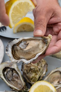 Fransa 'nın Gujan-Mestras limanındaki Arcachon körfezi istiridye çiftliği köyündeki restoranda taze çiğ istiridye, deniz kabuğu, liman, ekmek, tereyağı ve beyaz şarapla servis edilen el.