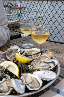 Fransa 'nın Gujan-Mestras limanı, Arcachon körfezindeki eski istiridye çiftliklerinin manzaralı, istiridye çiftliği olan istiridye çiftliği köyündeki çiftlik kafesinde taze çiğ istiridye yemek.