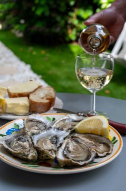 Fransa 'nın Gujan-Mestras limanındaki Arcachon körfezi istiridye çiftliği köyündeki restoranda taze çiğ istiridye kabukları, ekmek, tereyağı ve beyaz şarapla servis edilen tabaklar.