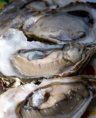 Fransa 'nın Gujan-Mestras limanındaki Arcachon körfezi istiridye çiftliği köyündeki restoranda taze çiğ istiridye kabukları, ekmek, tereyağı ve beyaz şarapla servis edilen tabaklar.