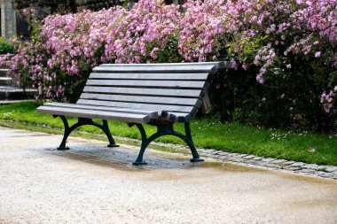 Seyahat yeri, Bordeaux şehrinin merkezinde yürümek, evleri ve caddeleri görmek, yaz tatili.