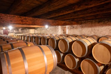 Cabernet Sauvignon üzümlerinden üretilen kırmızı şarap fıçıları için Fransız meşe fıçıları Bordeaux 'daki Haut-Medoc üzüm bağları, Gironde Estuary' nin sol kıyısı, Pauillac, Fransa, şarap tatma