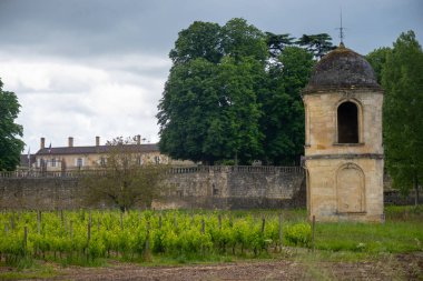 French wine making chateau with vineyards of Graves appellation, famous full body red wines of Portets, on Garonne river, Bordeaux, France clipart