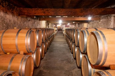 Cabernet Sauvignon üzümlerinden üretilen kırmızı şarap fıçıları için Fransız meşe fıçıları Bordeaux 'daki Haut-Medoc üzüm bağları, Gironde Estuary' nin sol kıyısı, Pauillac, Fransa, şarap tatma