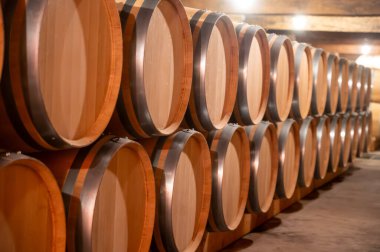 Cabernet Sauvignon üzümlerinden üretilen kırmızı şarap fıçıları için Fransız meşe fıçıları Bordeaux 'daki Haut-Medoc üzüm bağları, Gironde Estuary' nin sol kıyısı, Pauillac, Fransa, şarap tatma