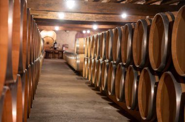 Cabernet Sauvignon üzümlerinden üretilen kırmızı şarap fıçıları için Fransız meşe fıçıları Bordeaux 'daki Haut-Medoc üzüm bağları, Gironde Estuary' nin sol kıyısı, Pauillac, Fransa, şarap tatma