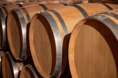 WIne celler with french oak barrels for aging of red wine made from Cabernet Sauvignon grape variety, Haut-Medoc vineyards in Bordeaux, left bank of Gironde Estuary, Pauillac, France, wine tasting clipart