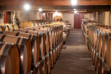 Cabernet Sauvignon üzümlerinden üretilen kırmızı şarap fıçıları için Fransız meşe fıçıları Bordeaux 'daki Haut-Medoc üzüm bağları, Gironde Estuary' nin sol kıyısı, Pauillac, Fransa, şarap tatma