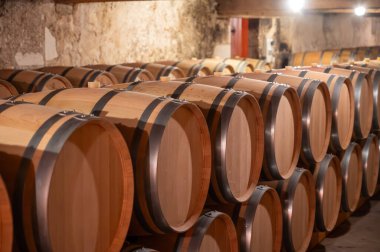 Cabernet Sauvignon üzümlerinden üretilen kırmızı şarap fıçıları için Fransız meşe fıçıları Bordeaux 'daki Haut-Medoc üzüm bağları, Gironde Estuary' nin sol kıyısı, Pauillac, Fransa, şarap tatma