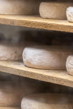 Biarritz, Fransa, Bask Bölgesi ve Pireneler 'de satılık koyun, inek ve keçi peyniri, Tomme, Fermier Brebis, çiftçi organik peynir