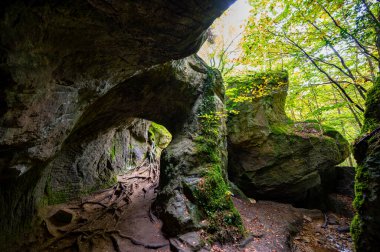 Mullerthal, Lüksemburg 'un Küçük İsviçre' si, yürüyüş yolları, kaya oluşumları, yosun kaplı ormanlar, Avrupa 'daki turizm beldeleri