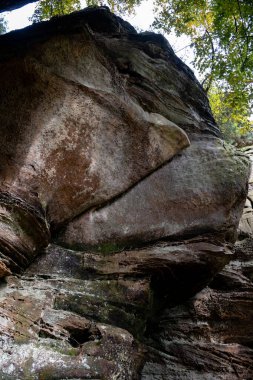 Mullerthal, Lüksemburg 'un Küçük İsviçre' si, yürüyüş yolları, kaya oluşumları, yosun kaplı ormanlar, Avrupa 'daki turizm beldeleri