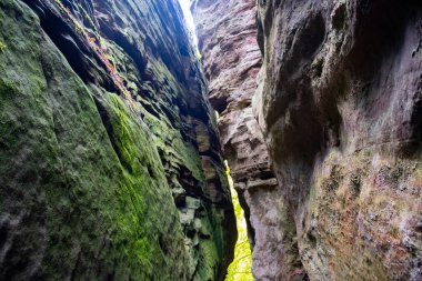 Mullerthal, Lüksemburg 'un Küçük İsviçre' si, yürüyüş yolları, kaya oluşumları, yosun kaplı ormanlar, Avrupa 'daki turizm beldeleri