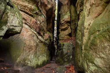 Mullerthal, Lüksemburg 'un Küçük İsviçre' si, yürüyüş yolları, kaya oluşumları, yosun kaplı ormanlar, Avrupa 'daki turizm beldeleri