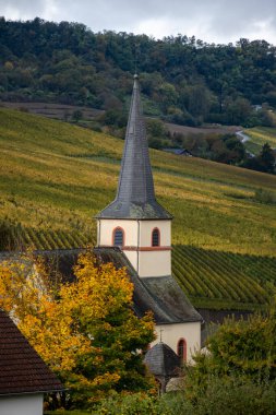 Nittel, Rhineland-Palatinate, Almanya çevresindeki teraslı üzüm bağlarının panoramik manzarası ve sonbaharda Grevenmacher yakınlarındaki Lüksemburg 'un üzüm bağlarındaki Moselle Nehri boyunca manzarası