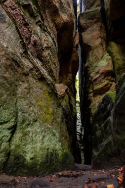 Scenic nature diversity of Mullerthal, Luxembourg's Little Switzerland, hiking routes, rock formations, moss-covered forests, tourist destination in Europe clipart