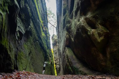 Scenic nature diversity of Mullerthal, Luxembourg's Little Switzerland, hiking routes, rock formations, moss-covered forests, tourist destination in Europe clipart