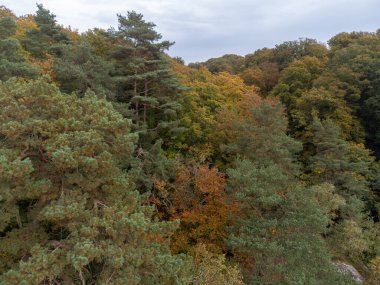 Aerial view on Mullerthal in autumn, Luxembourg's Little Switzerland, hiking routes, rock formations, moss-covered forests, tourist destination in Europe clipart