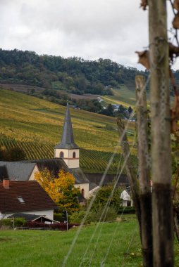 Nittel, Rhineland-Palatinate, Almanya çevresindeki teraslı üzüm bağlarının panoramik manzarası ve sonbaharda Grevenmacher yakınlarındaki Lüksemburg 'un üzüm bağlarındaki Moselle Nehri boyunca manzarası