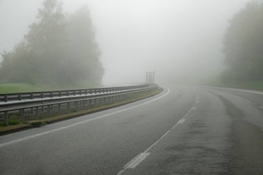 Belçika 'da araba sürmek, Ardennes' te sis, doğa parkı, Wallonia