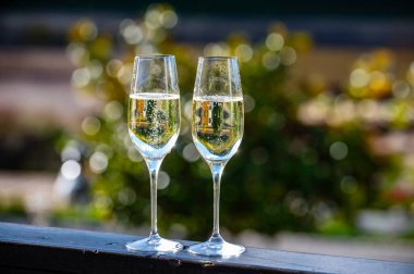 Köpüklü beyaz şarap tatmak, Lüksemburg 'daki Moselle Nehri vadisinde mağaralarda yarılmayı sağlayan geleneksel şampanya metodu, bir bardak şarap.