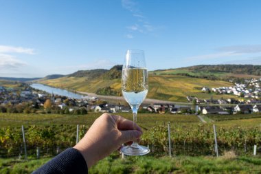 Tasting of sparkling white wine, traditional champagne method making of cremant in caves on Moselle river valley in Luxembourg, glass of wine and view on terraced vineyards clipart