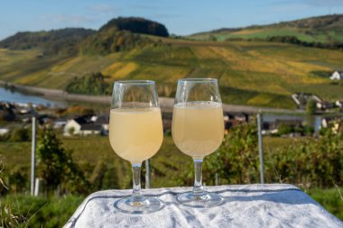 Autumn wine festival in Germany on Moselle river valley, tasting of federweisser young wine, neuer wein made fermented freshly pessed auxerrois grape juice, or must. View on terraced vineyards clipart