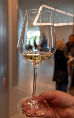 Lüksemburg 'daki Moselle Nehri vadisinde yapılan beyaz şarap tatma, Grevenmacher' da şaraphane ziyareti, teraslı üzüm bağlarından şarap, yakın çekim.