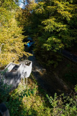 Scenic diversity of Mullerthal, Luxembourg's Little Switzerland, Schiessentumpel Cascade and river hiking routes, rock formations, forests, tourist destination in Europe clipart