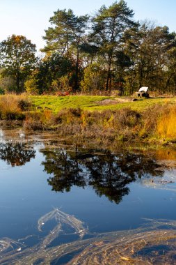 Ayna ormanı gölü kışın güneşli bir günde yansıyor Kuzey Brabant, Hollanda 'da Kempen bölgesi Eindhoven ve Veldhoven çevresindeki doğa yolları