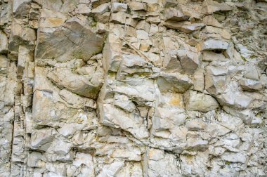 Marne Vadisi, Champange, Fransa 'da Hautvillers köyündeki şampanya bağlarında tebeşir, marl ve kireçtaşından oluşan tortulu beyaz kaya toprağı, doğa toprak örneği...