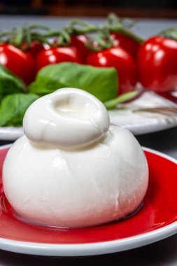 Taze İtalyan peyniri, beyaz burrata topları ya da mozzarella ve kremadan yapılmış burratina peyniri yemek.