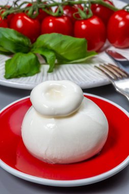 Eating of fresh handmade soft Italian cheese, white balls of burrata or burratina cheese made from mozzarella and cream or gorgonzola filling close up clipart