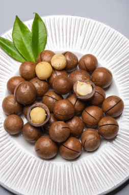 Avustralya Queensland Macadamia fındığı, ya da çalılık, maroochi, bauple fındığı, kesilmiş fındık, taze hasat yakın