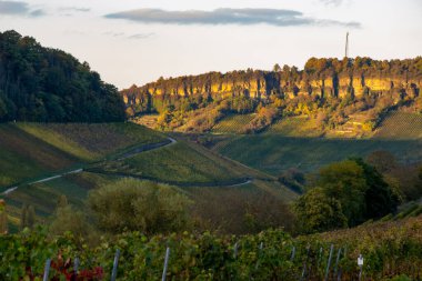 Nittel, Rhineland-Palatinate, Almanya çevresindeki teraslı üzüm bağlarının panoramik manzarası ve sonbaharda Grevenmacher yakınlarındaki Lüksemburg 'un üzüm bağlarındaki Moselle Nehri boyunca manzarası
