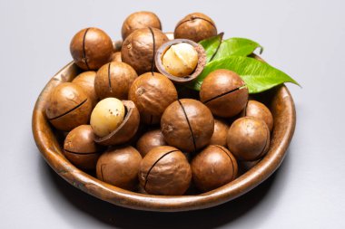 Avustralya Queensland Macadamia fındığı, ya da çalılık, maroochi, bauple fındığı, kesilmiş fındık, taze hasat yakın