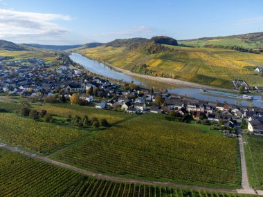 Nittel, Rhineland-Palatinate, Almanya çevresindeki teraslı üzüm bağlarının ve sonbaharda Grevenmacher yakınlarındaki Lüksemburg 'un üzüm bağı tepelerindeki Moselle Nehri' nin manzarası.