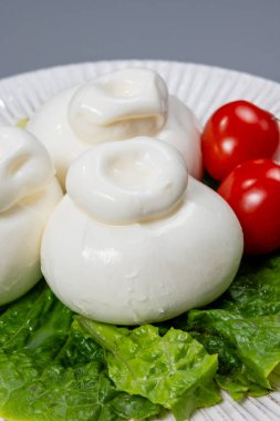 Eating of fresh handmade soft Italian cheese, white balls of burrata or burratina cheese made from mozzarella and cream or gorgonzola filling close up clipart