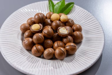 Avustralya Queensland Macadamia fındığı, ya da çalılık, maroochi, bauple fındığı, kesilmiş fındık, taze hasat yakın