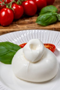 Taze İtalyan peyniri, beyaz burrata topları ya da mozzarella ve kremadan yapılmış burratina peyniri yemek.