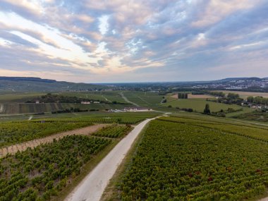 Eylül 'de Hautvillers, Cumieres, Marne River Valley, Champange, Fransa yakınlarındaki yeşil başbakan cru şampanya bağları ve tarlalarına panoramik hava manzarası