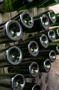 Büyük Cru köyü Ambonnay, Champagne, Fransa 'da eski bir şampanya yetiştiricisi ve üreticisinin ziyareti. Boş şampanya şişeleri ahşap pupitre bulmaca raflarında