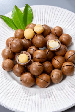 Avustralya Queensland Macadamia fındığı, ya da çalılık, maroochi, bauple fındığı, kesilmiş fındık, taze hasat yakın