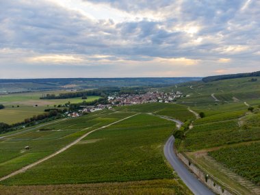 Panoramic aerial view on green premier cru champagne vineyards and fields near village Hautvillers and Cumieres and Marne river valley, Champange, France in September clipart